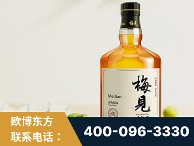 淮安-梅见青梅酒